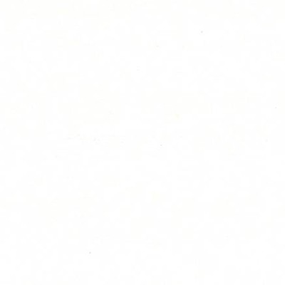 Homespun Solid - White